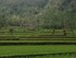BALI Jour 4