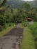 BALI Jour 4