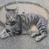 Hubert
