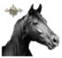 Tube psp chevaux 1