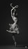 Equilibre
