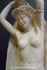 Venus del racimo