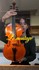 Violon