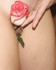 Chaque fleur attire sa mouche