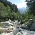 Sortie pêche dans la Gravona 