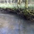 Petite sortie pêche à coté 