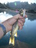 Sortie pêche dans les Pyrén