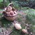Petite cueillette de l'après-midi, quelq