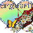 PRENOM M