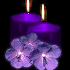 LE SOIR TOMBE VITE