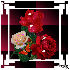 MON BOUQUET DE ROSE
