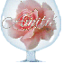 serie de verre de l AMITIE