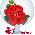 VERRE