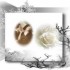 CREA