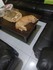 La vie des chats...