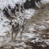 sorti pyrénée à la neige