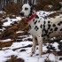 sorti pyrénée à la neige