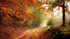 Couleurs Automnales