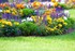 Les Fleurs Que J'Ai Cueillies