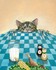 Gary Patterson - Chat