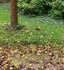 C’Est L'Automne