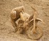 Les Joies Du Moto Cross