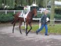 à l'hippodrome de saint-cloud