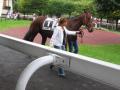 à l'hippodrome de saint-cloud