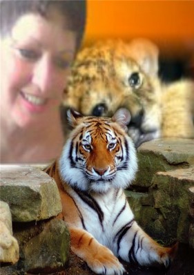 moi et le tigre en  montage  lol