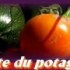 Fête du potager .