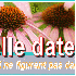 A quelle date fêter!!!