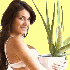 Les plantes qui soignent.