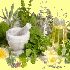 Les plantes qui soignent.