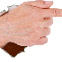 LE SIGNE DU BÉLIER .