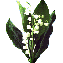 Fête du travail et du muguet.