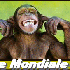 Journée Mondiale  du rire.