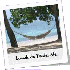 le Lundi Pentecôte.(20 mai)