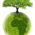 Journée de l'environnement .