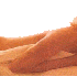 Journée mondiale du naturisme