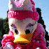 Les 20 ans de DisneyLand Paris