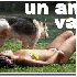 un amour vache .