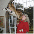 un amour vache .