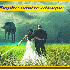 réussir un mariage 