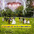 réussir un mariage 