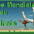 Journée Mondiale  du Capoeiri