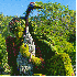 Des sculptures végétales .