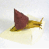 Des feuilles de papier prennen