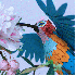 des oiseaux multicolores en pa
