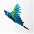 des oiseaux multicolores en pa