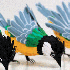 des oiseaux multicolores en pa